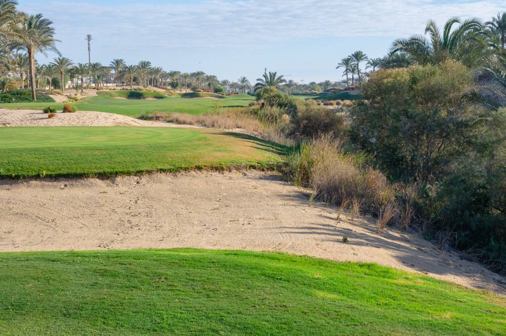 Newgiza Bahn 1-9 MZ6 _9123