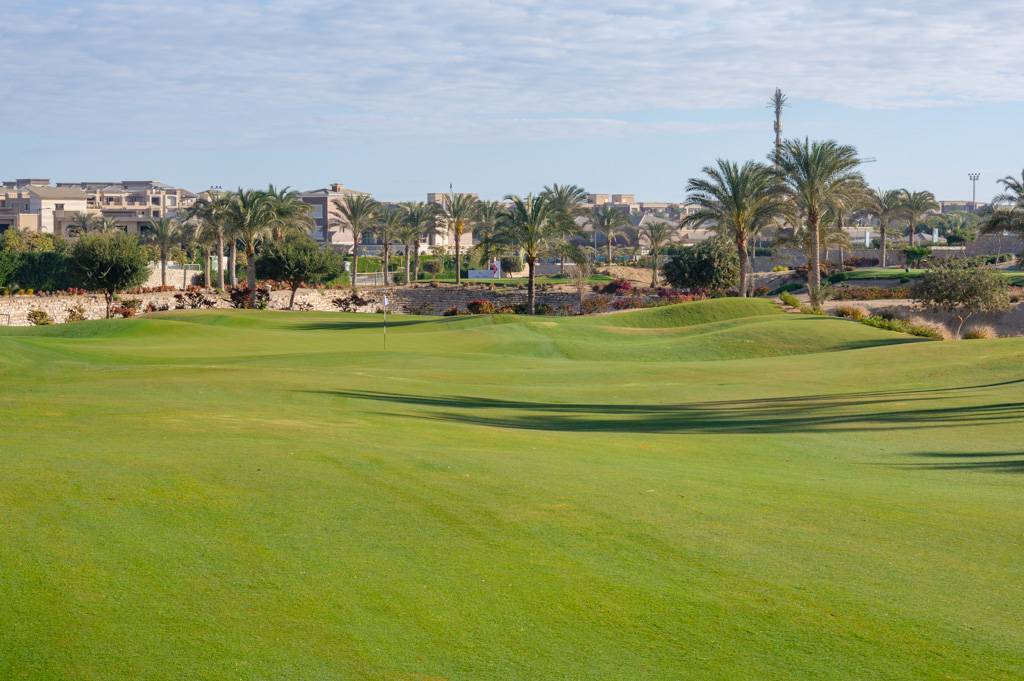 Newgiza Bahn 1-9 MZ6 _9134