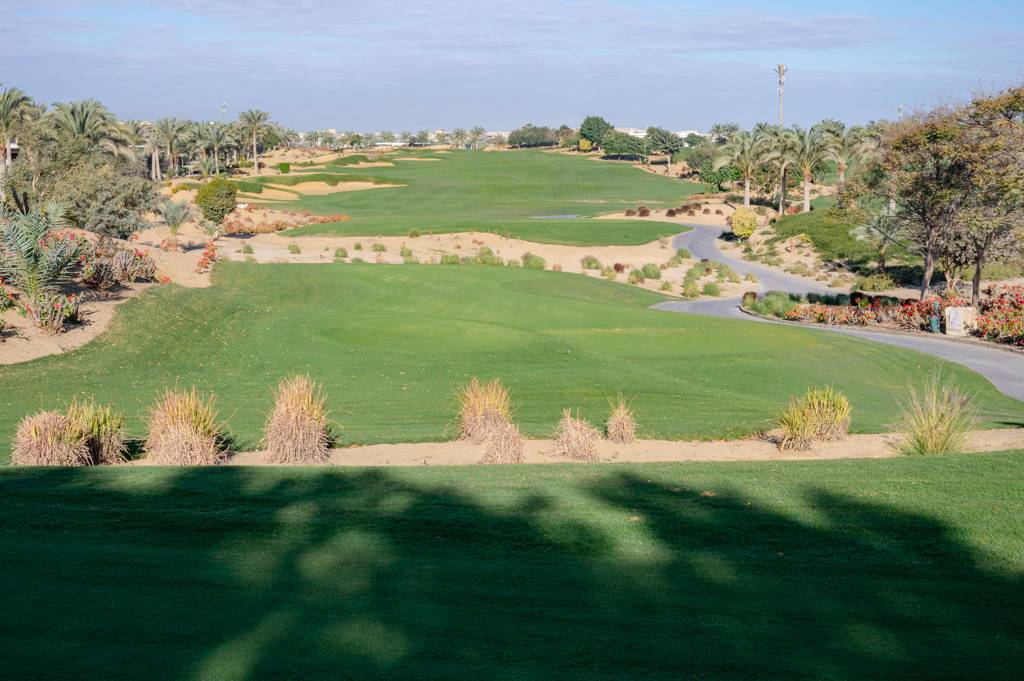 Newgiza Bahn 1-9 MZ6 _9135