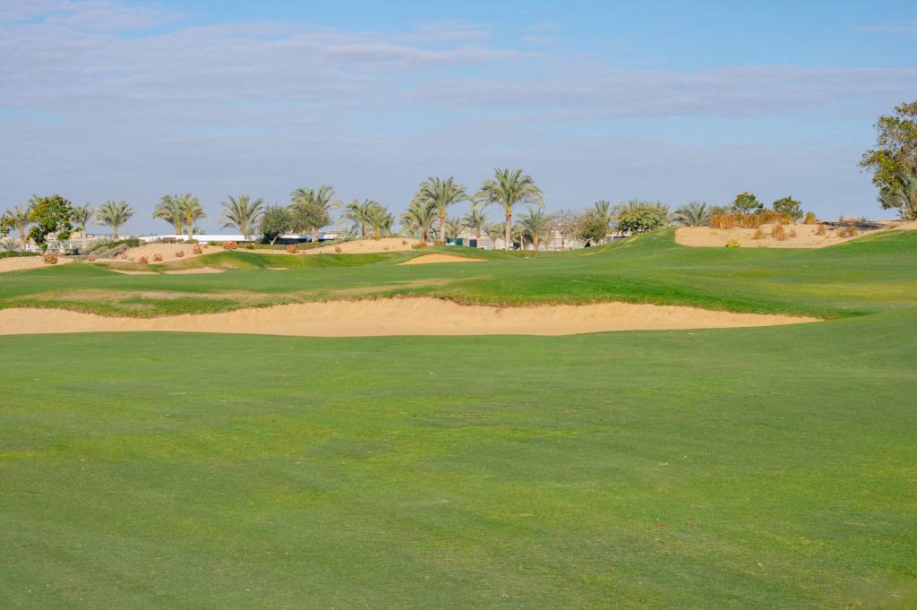 Newgiza Bahn 1-9 MZ6 _9146