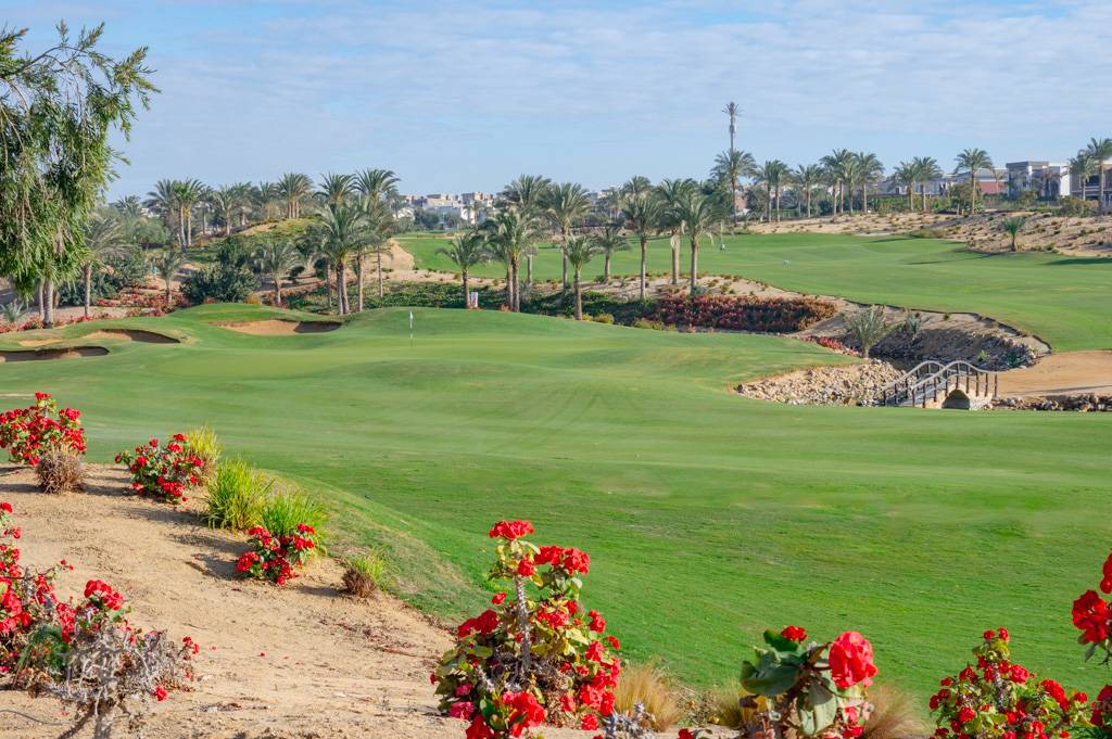 Newgiza Bahn 10-18 MZ6 _9156