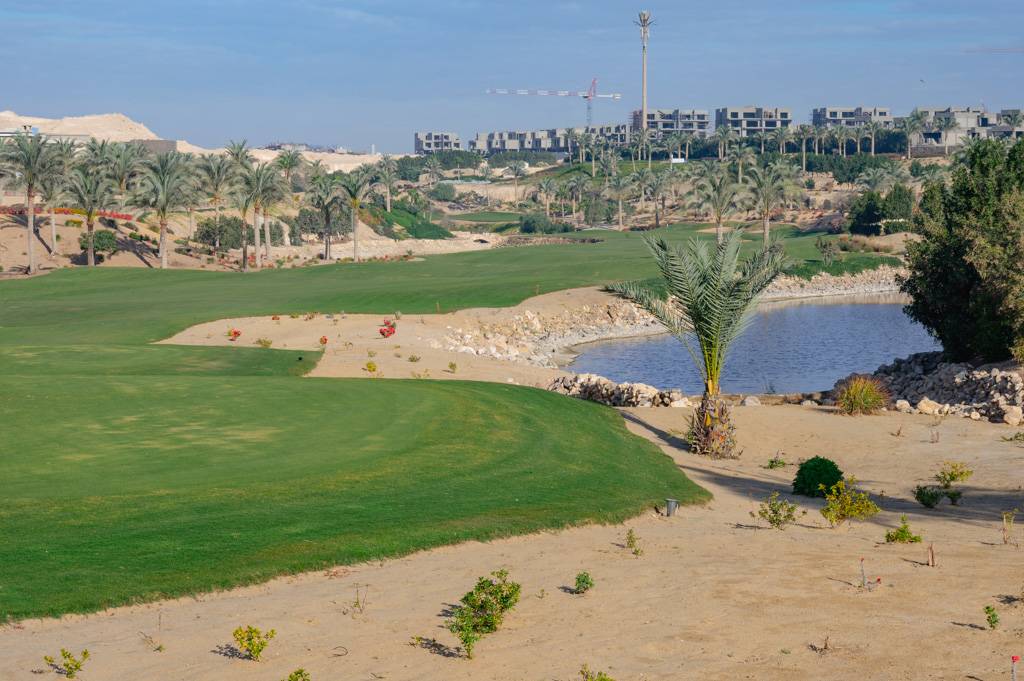 Newgiza Bahn 10-18 MZ6 _9162