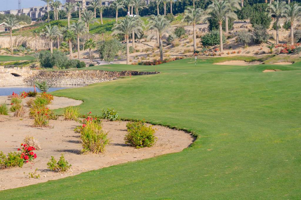 Newgiza Bahn 10-18 MZ6 _9164