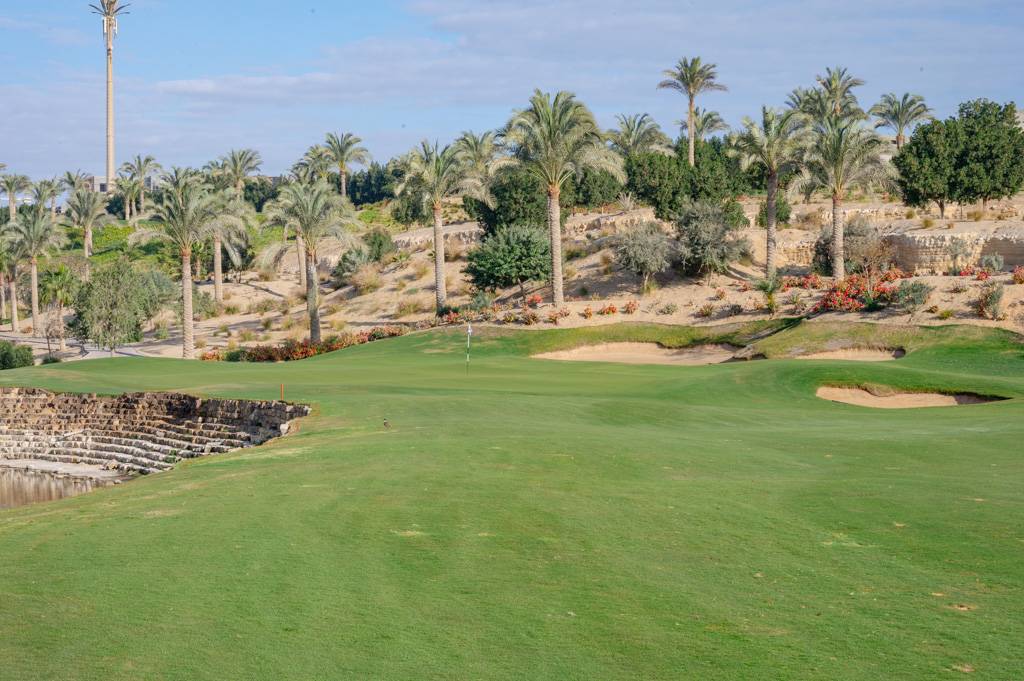 Newgiza Bahn 10-18 MZ6 _9166