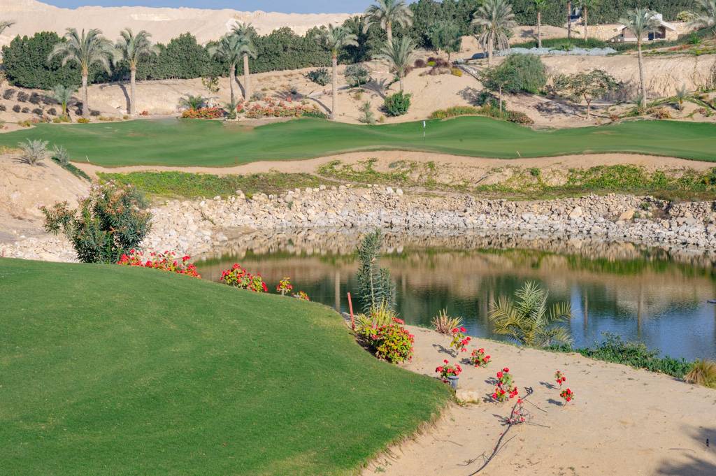 Newgiza Bahn 10-18 MZ6 _9167