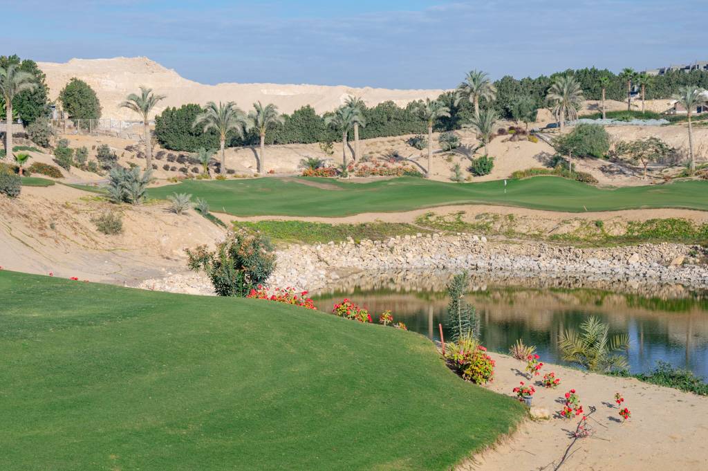 Newgiza Bahn 10-18 MZ6 _9170