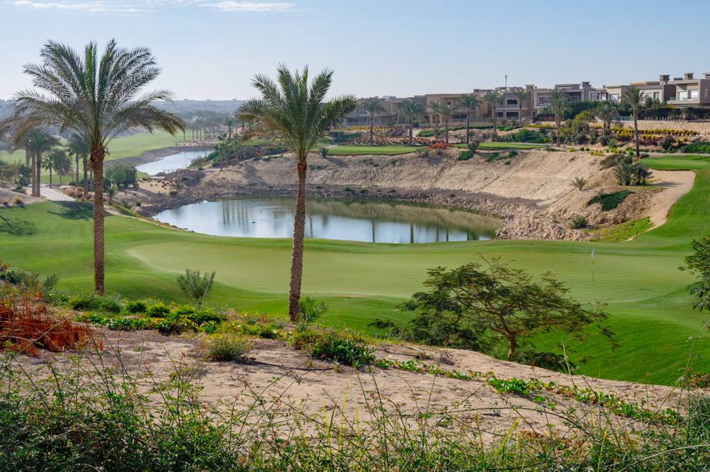 Newgiza Bahn 10-18 MZ6 _9173