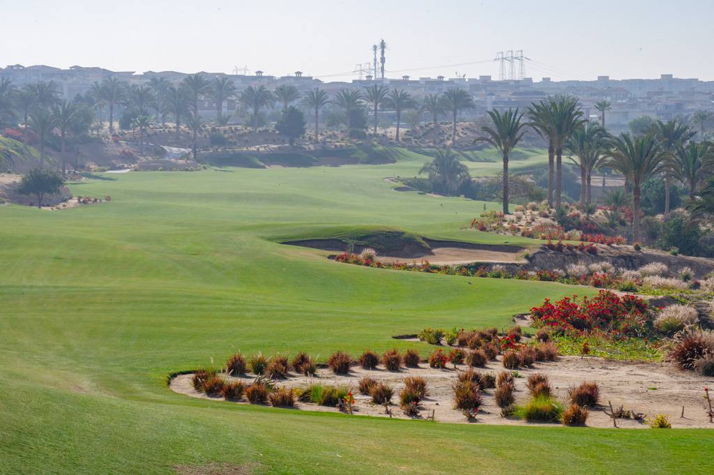 Newgiza Bahn 10-18 MZ6 _9177