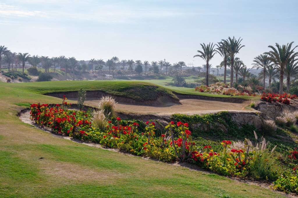 Newgiza Bahn 10-18 MZ6 _9180