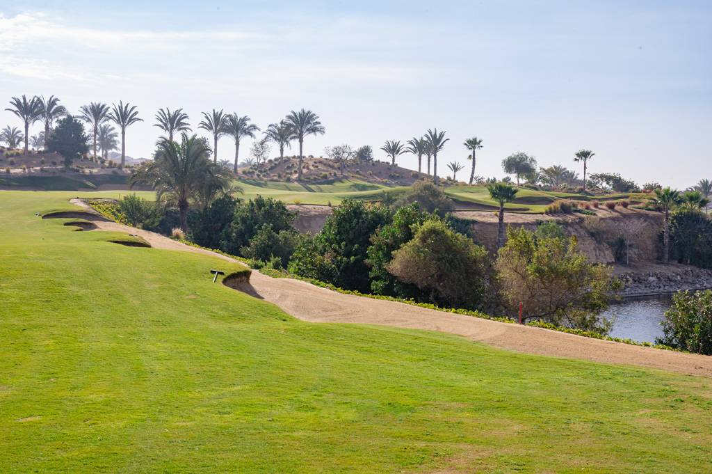 Newgiza Bahn 10-18 MZ6 _9182