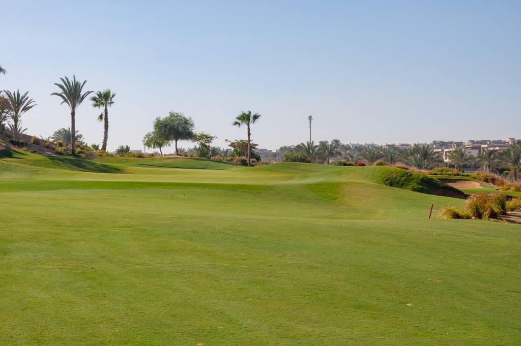 Newgiza Bahn 10-18 MZ6 _9187