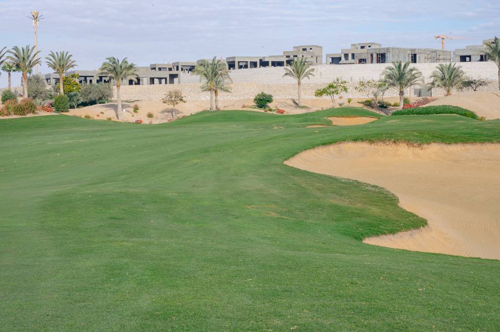 Newgiza Bahn 10-18 MZ6 _9201