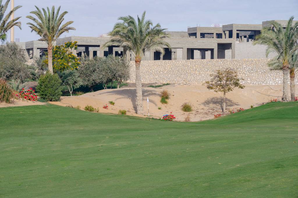 Newgiza Bahn 10-18 MZ6 _9202