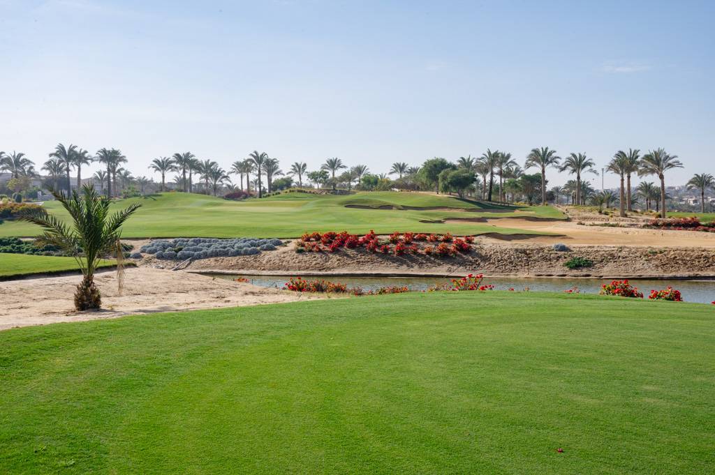 Newgiza Bahn 10-18 MZ6 _9212