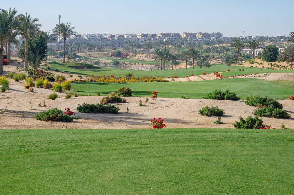 Newgiza Bahn 10-18 MZ6 _9213