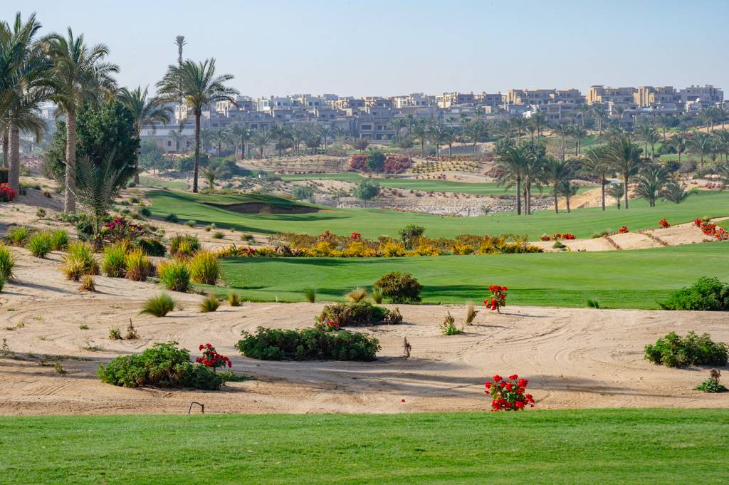 Newgiza Bahn 10-18 MZ6 _9215