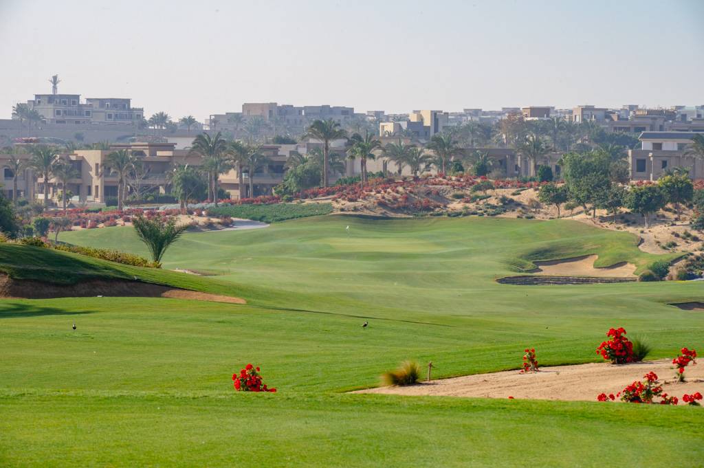 Newgiza Bahn 10-18 MZ6 _9219