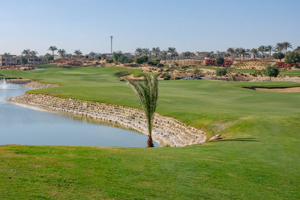 Newgiza Bahn 10-18 MZ6 _9223