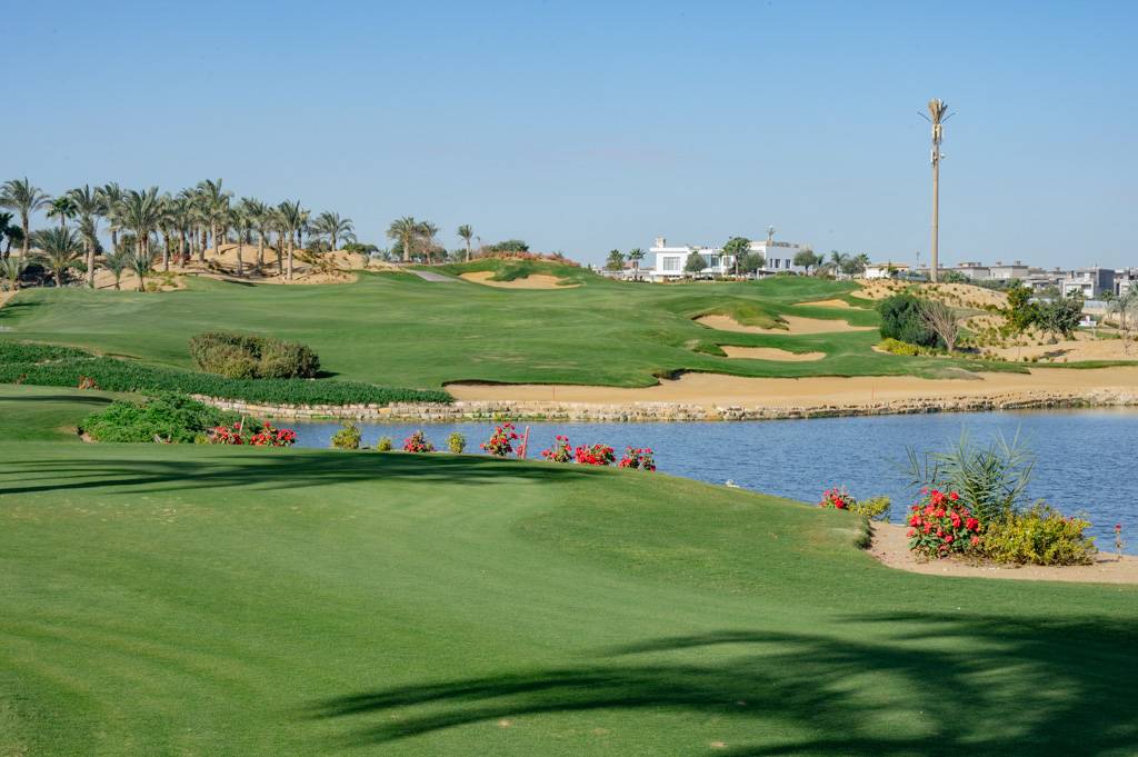 Newgiza Bahn 10-18 MZ6 _9228