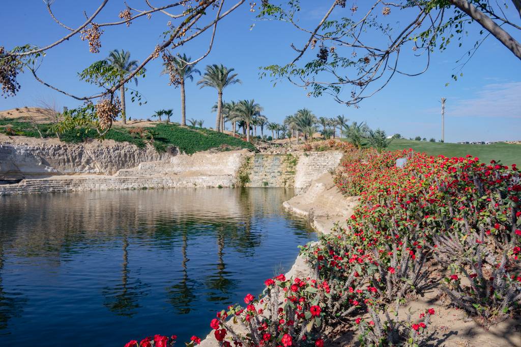 Newgiza Bahn 10-18 MZ6 _9230