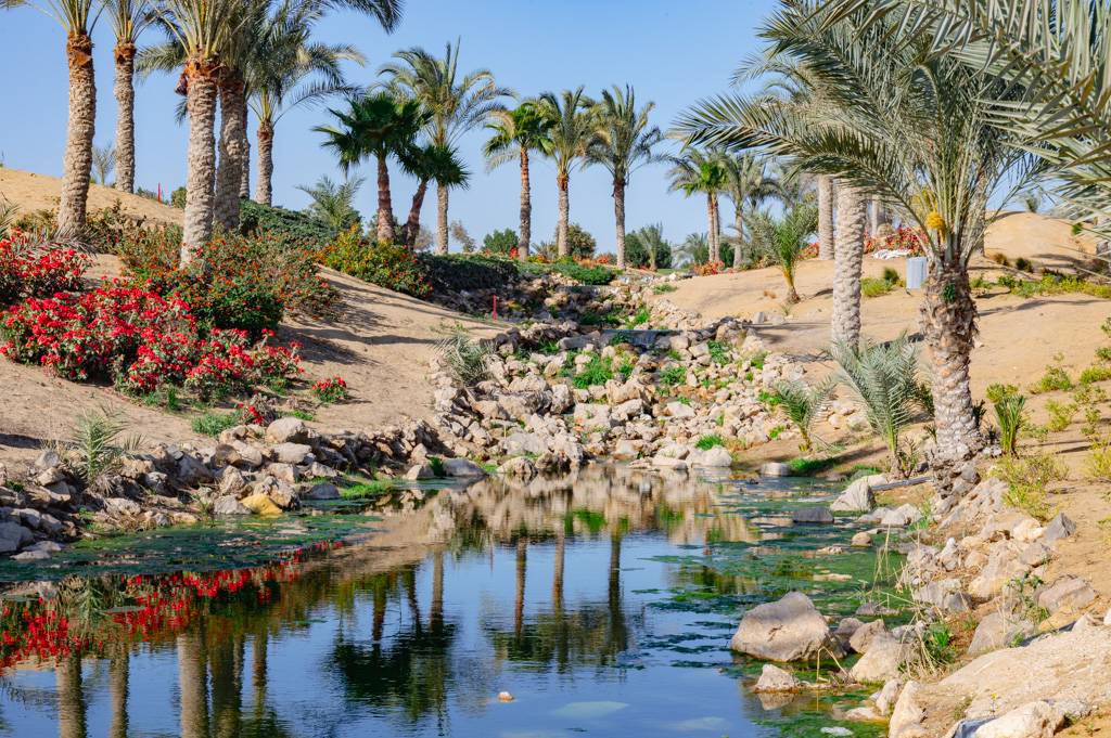 Newgiza Bahn 10-18 MZ6 _9234