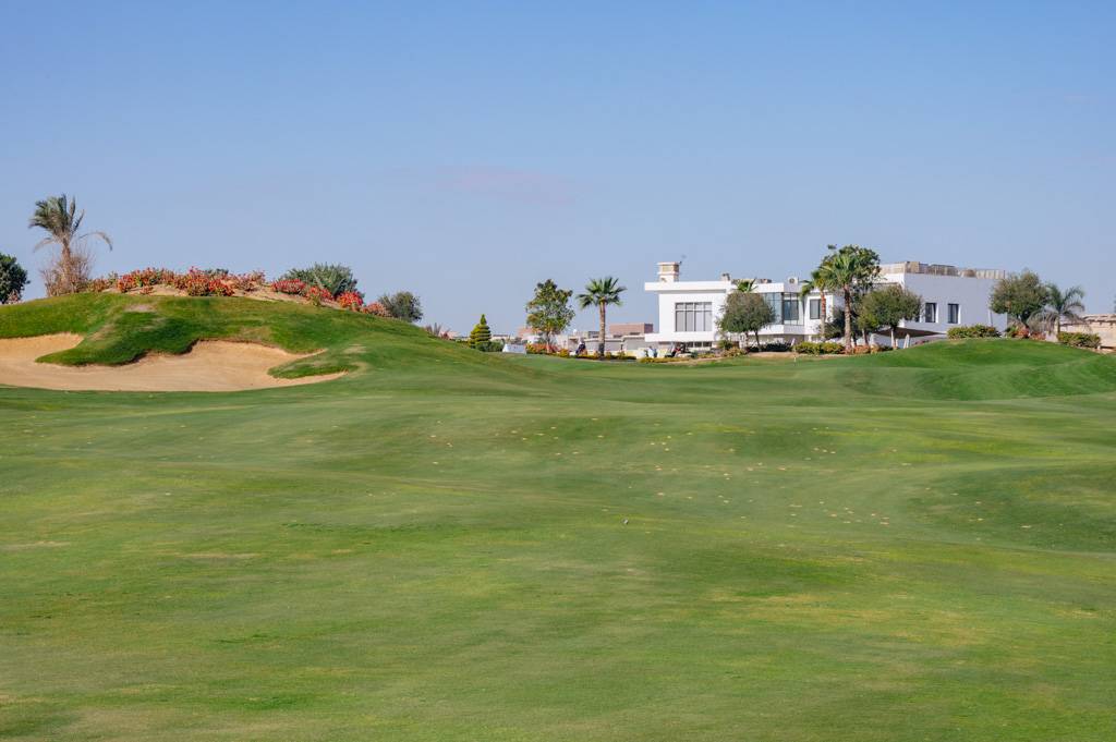 Newgiza Bahn 10-18 MZ6 _9236