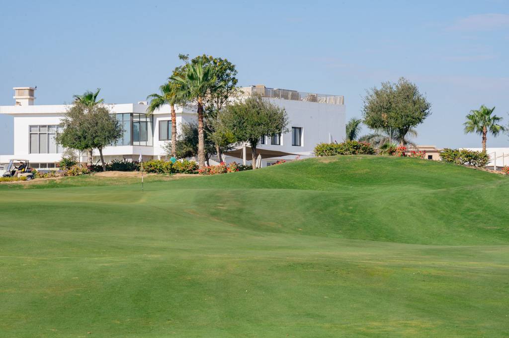 Newgiza Bahn 10-18 MZ6 _9237