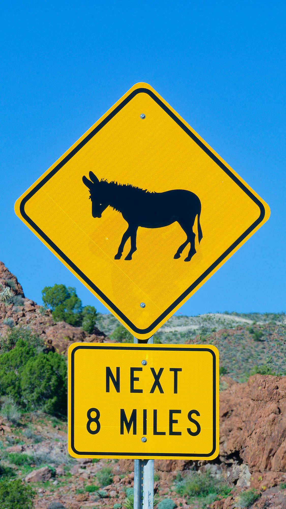Oatman Route 66 Fotos MZ6 _7645_DxO
