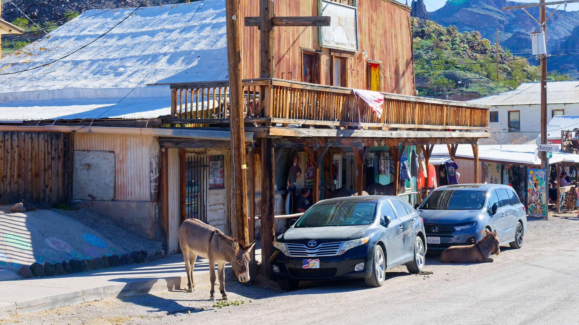 Oatman Route 66 Fotos MZ6 _7652_DxO
