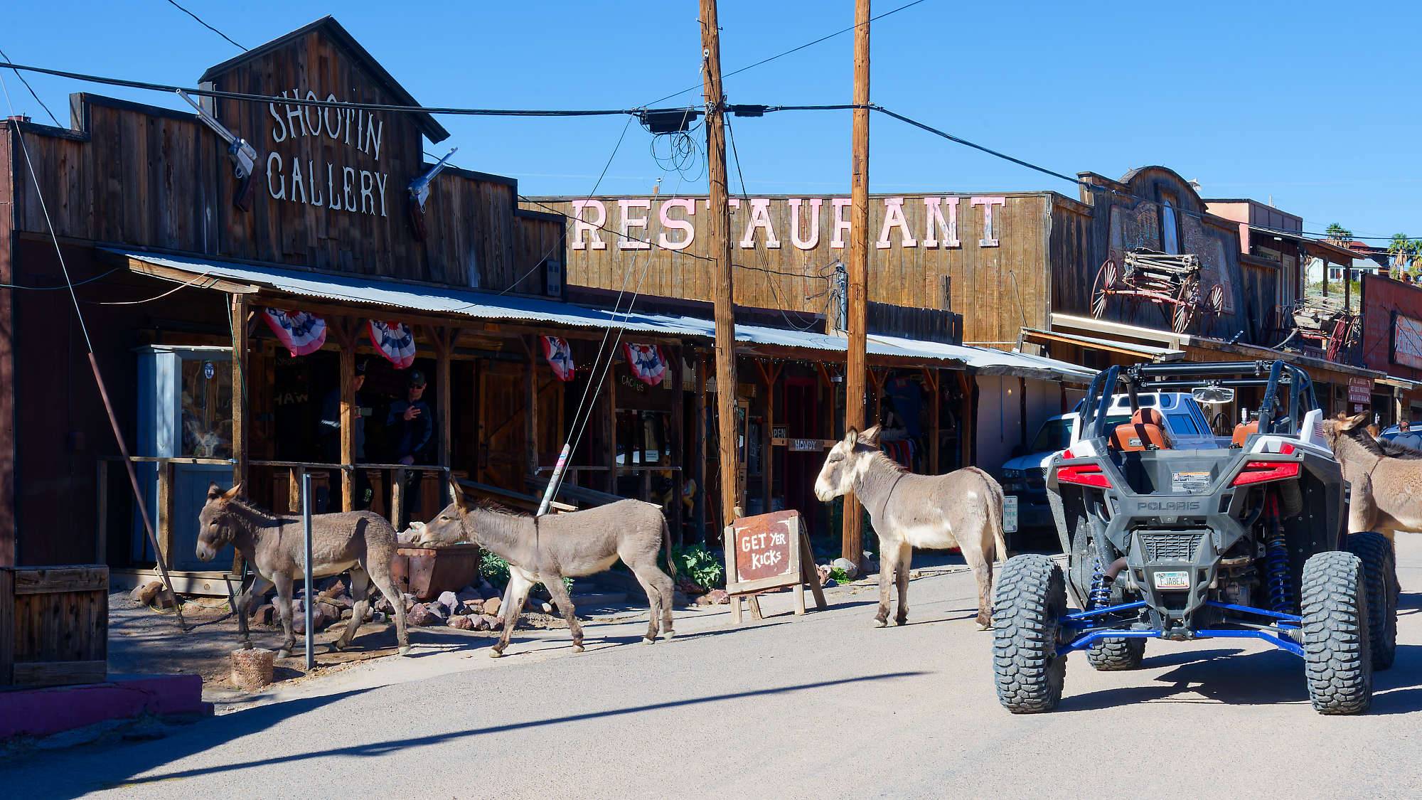 Oatman Route 66 Fotos MZ6 _7683_DxO