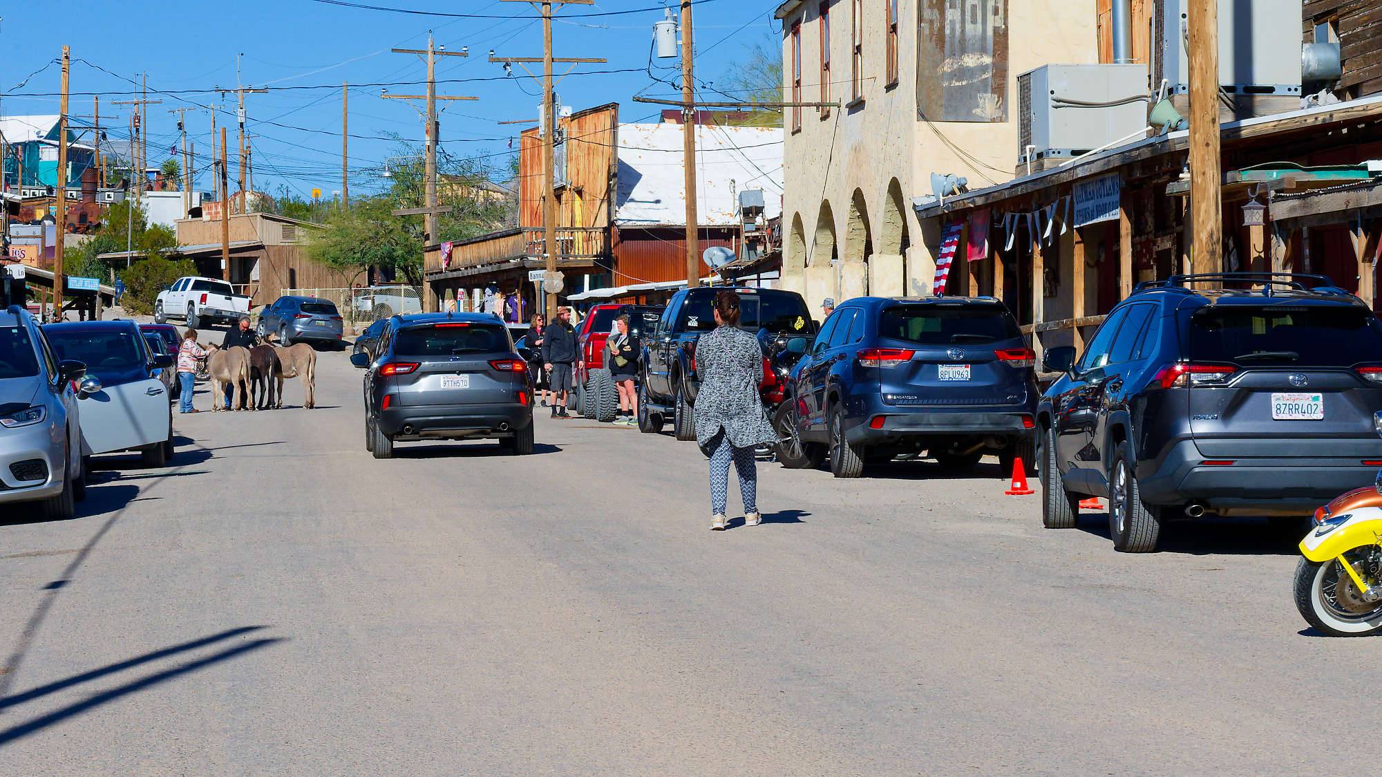 Oatman Route 66 Fotos MZ6 _7689_DxO