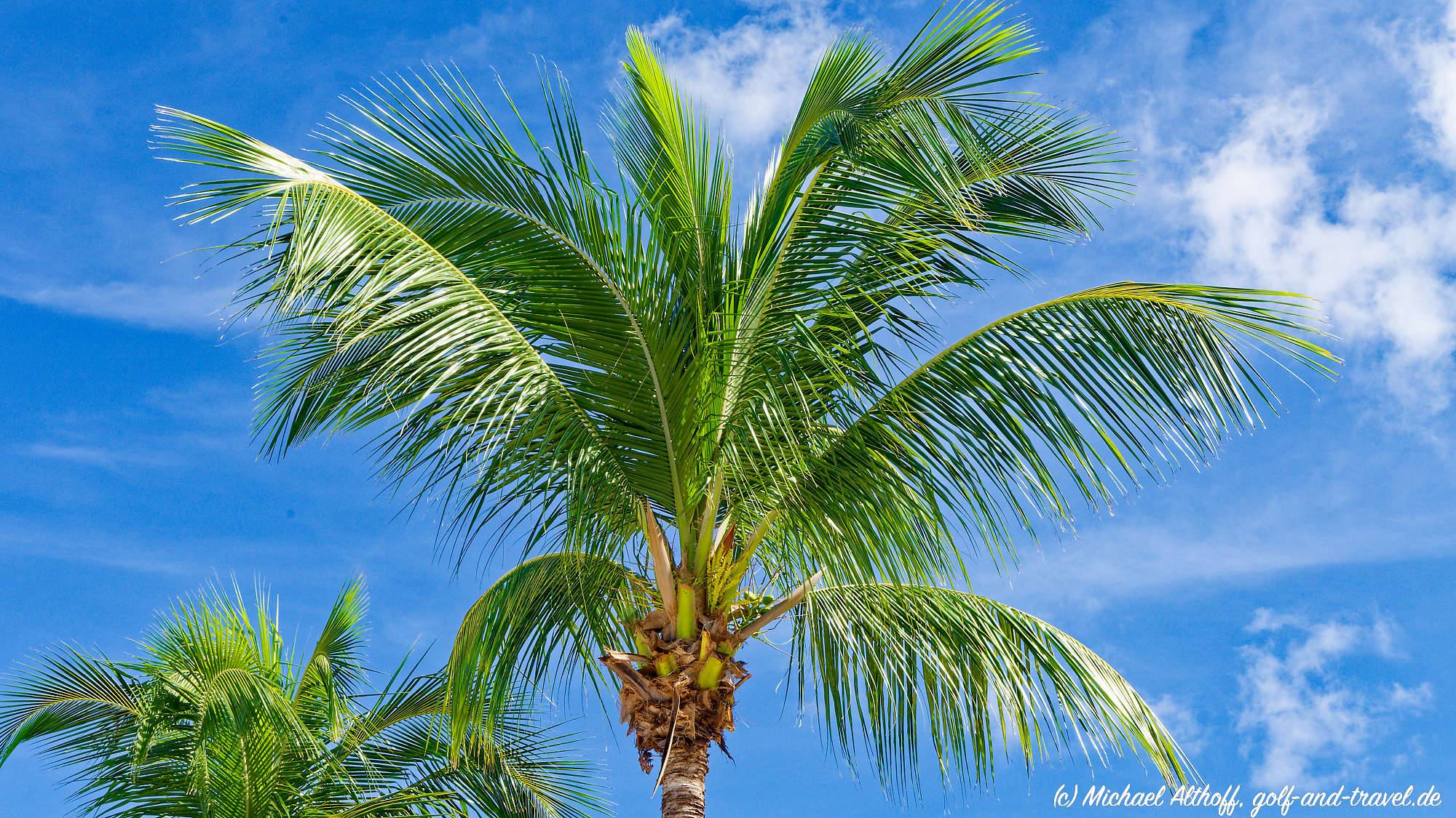 St Thomas Magens Bay Fotos Z30 _0427_DxO