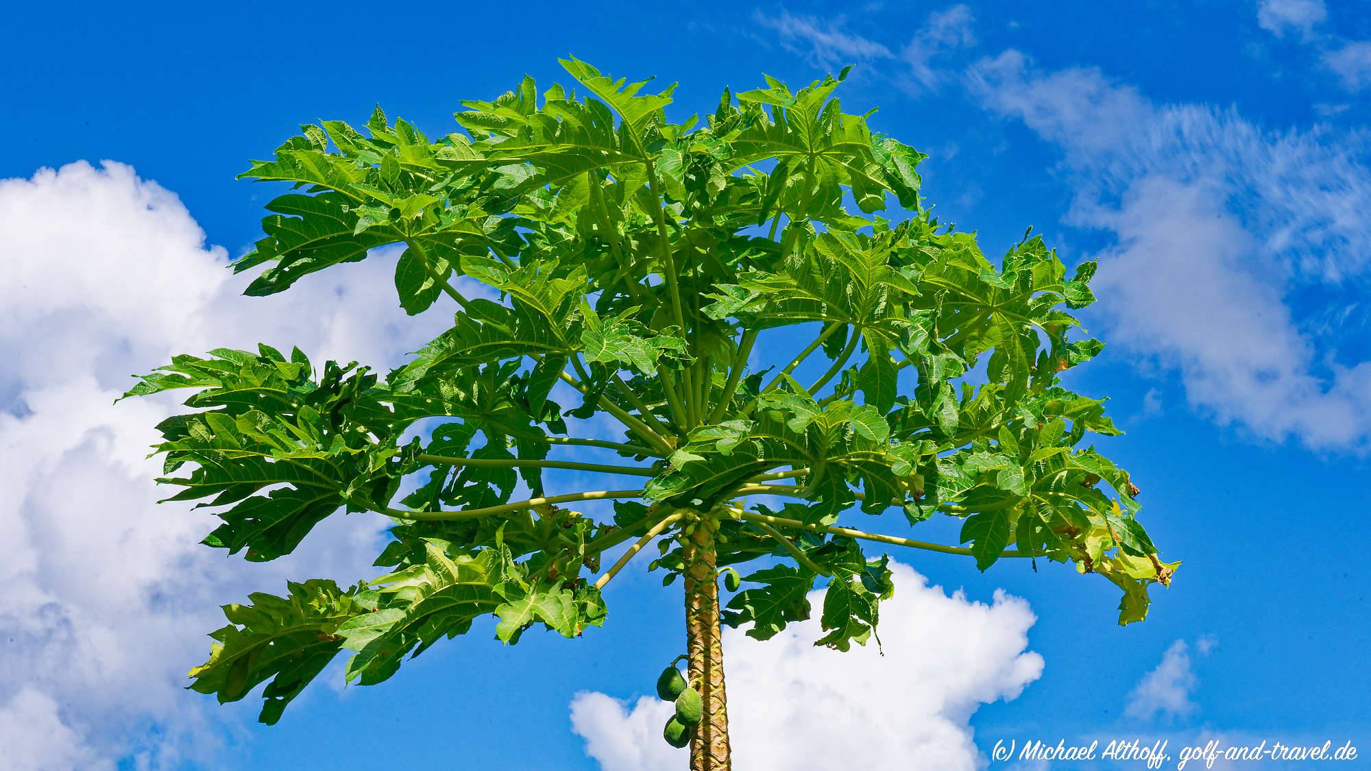 Tortola Bootstour Fotos MZ6 _5610_DxO
