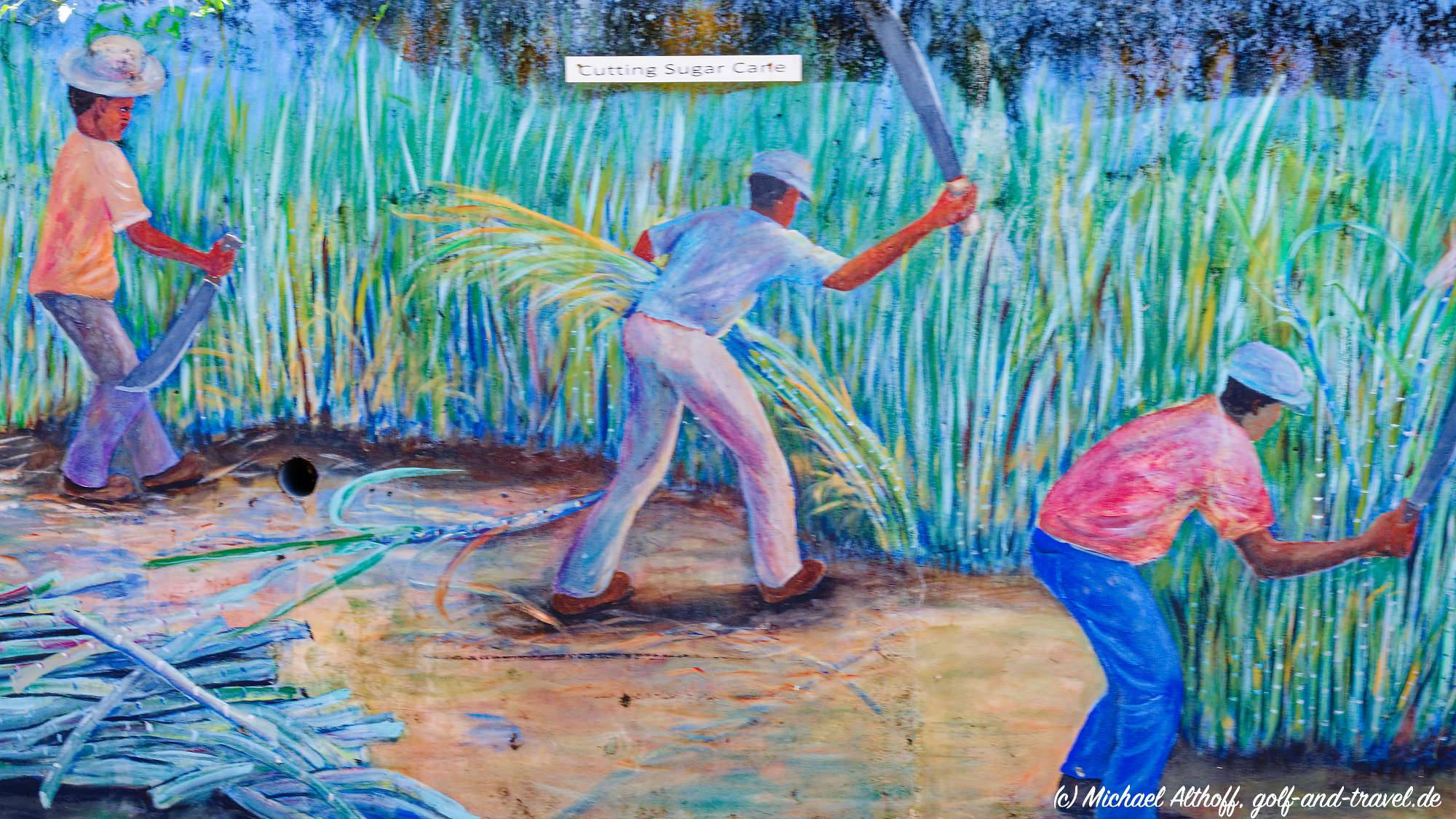 Tortola Bootstour Fotos MZ6 _5627_DxO