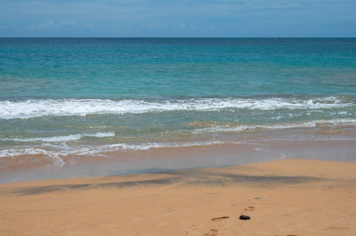Death in Paradise Fotos MZ6 _1524