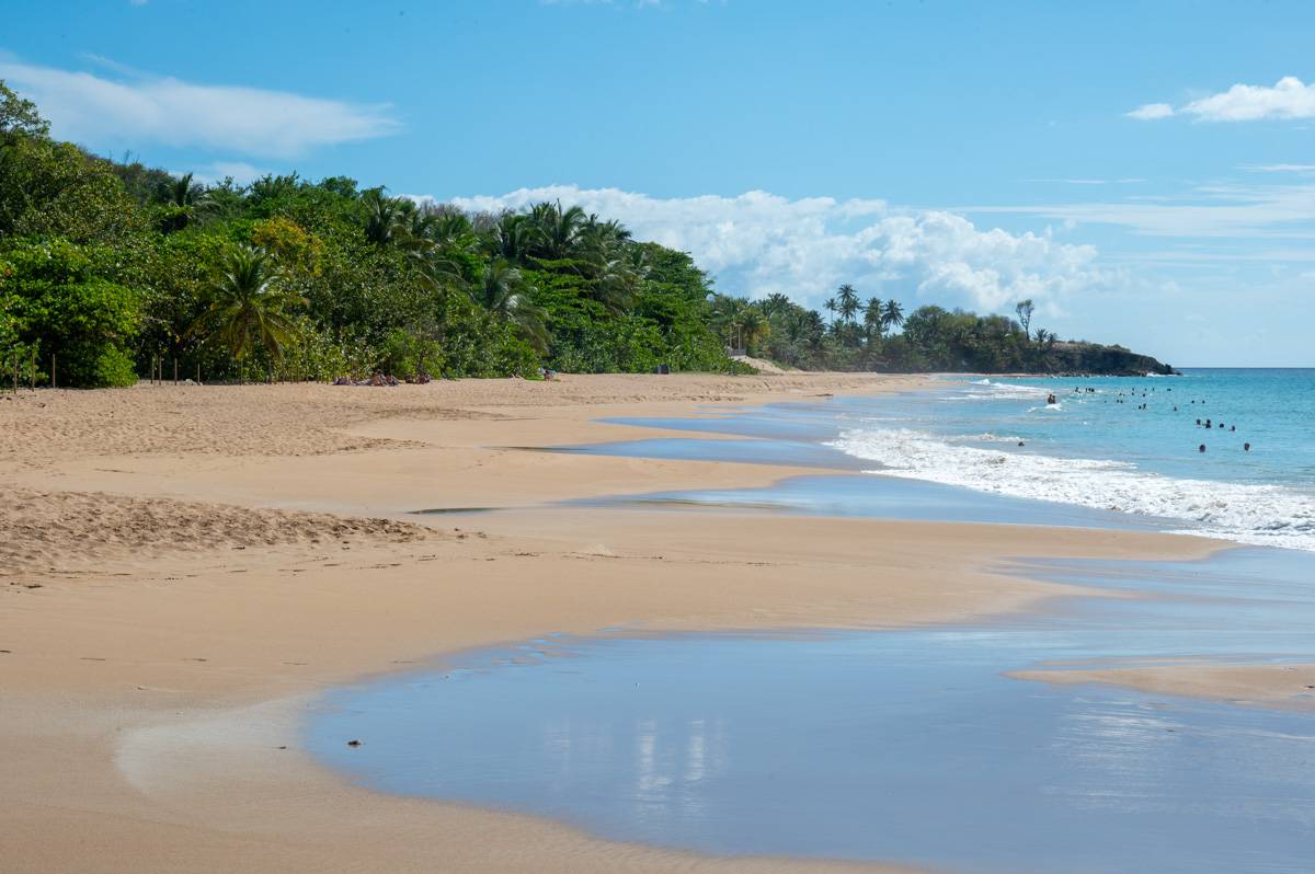 Death in Paradise Fotos MZ6 _1577