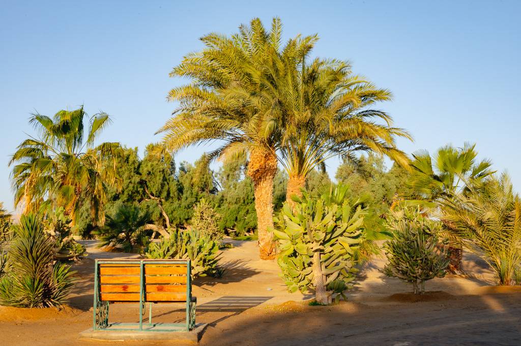 El Gouna Bahn 1-9 MZ6 _0743