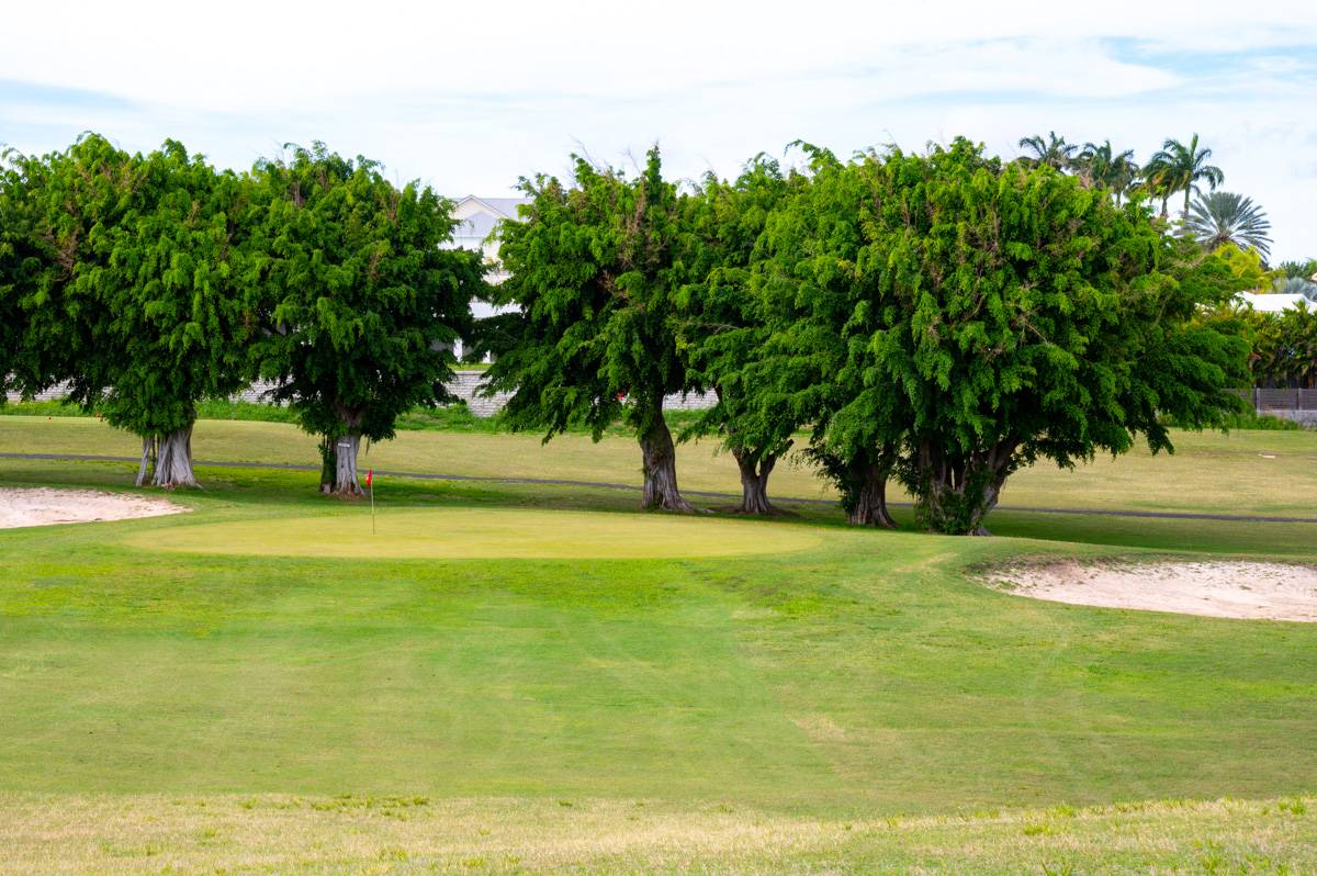 Golf Saint Francois Bahn 1-9 MZ6 _1347