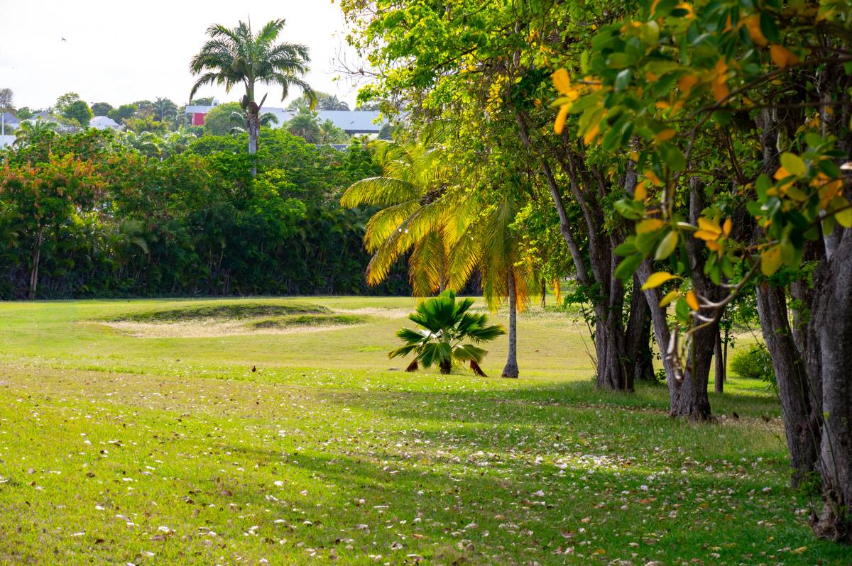Golf Saint Francois Bahn 10-18 MZ6 _1426