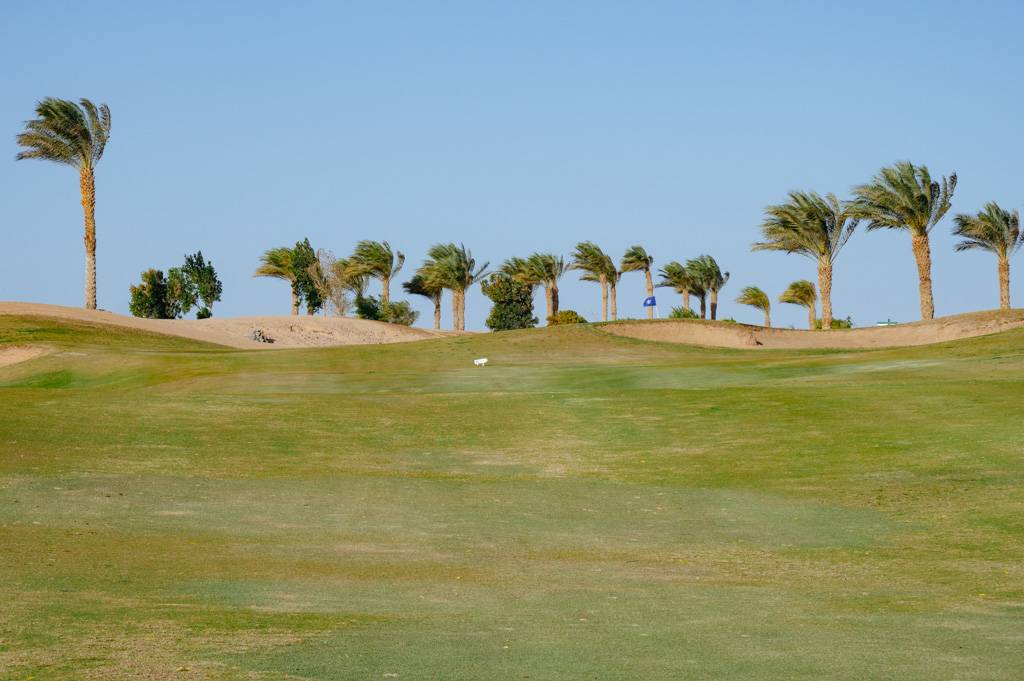 Makadi Golf Bahn 10-18 MZ6 _0628