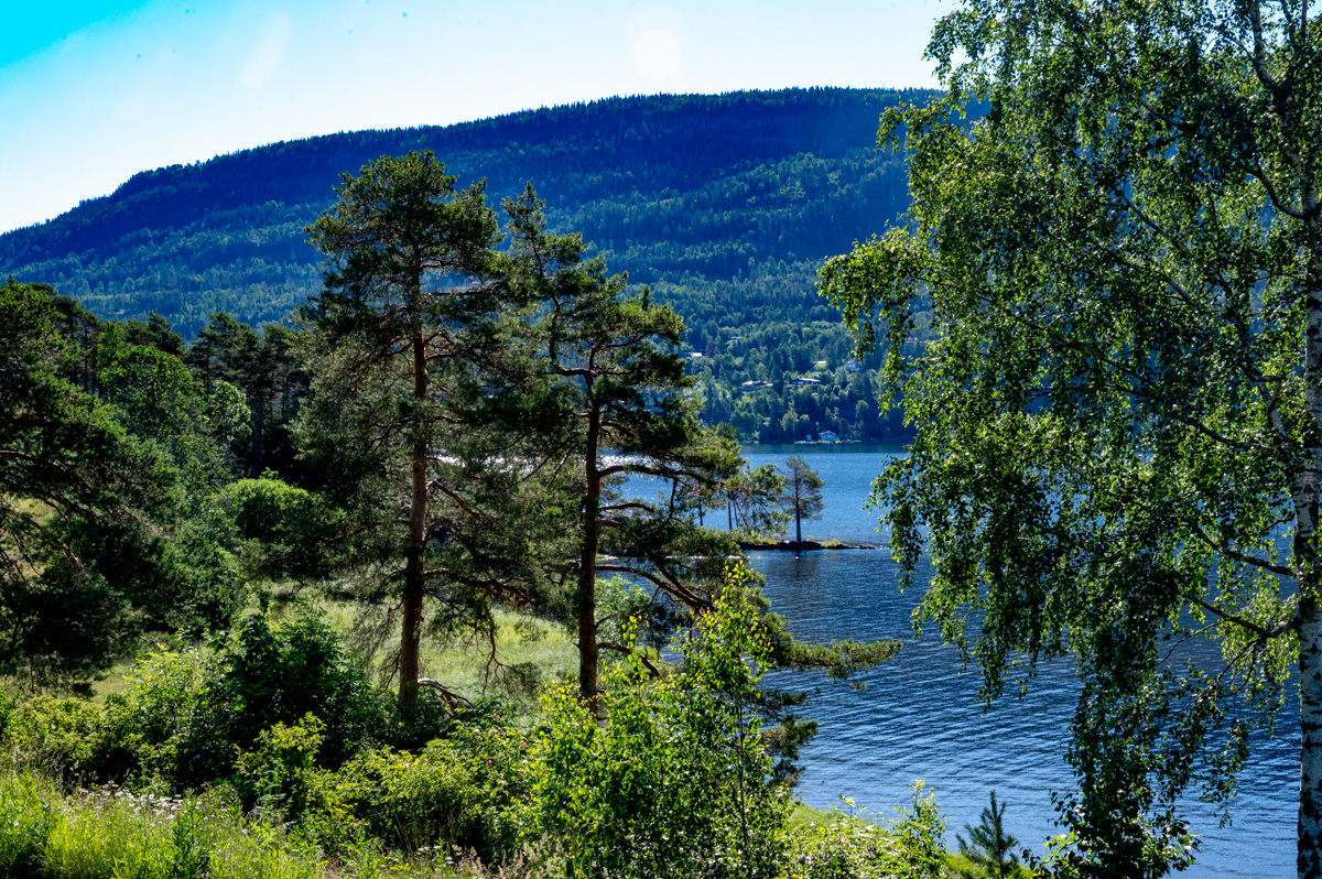 Tyrifjord Bahn 1-9 MZ6 _4637