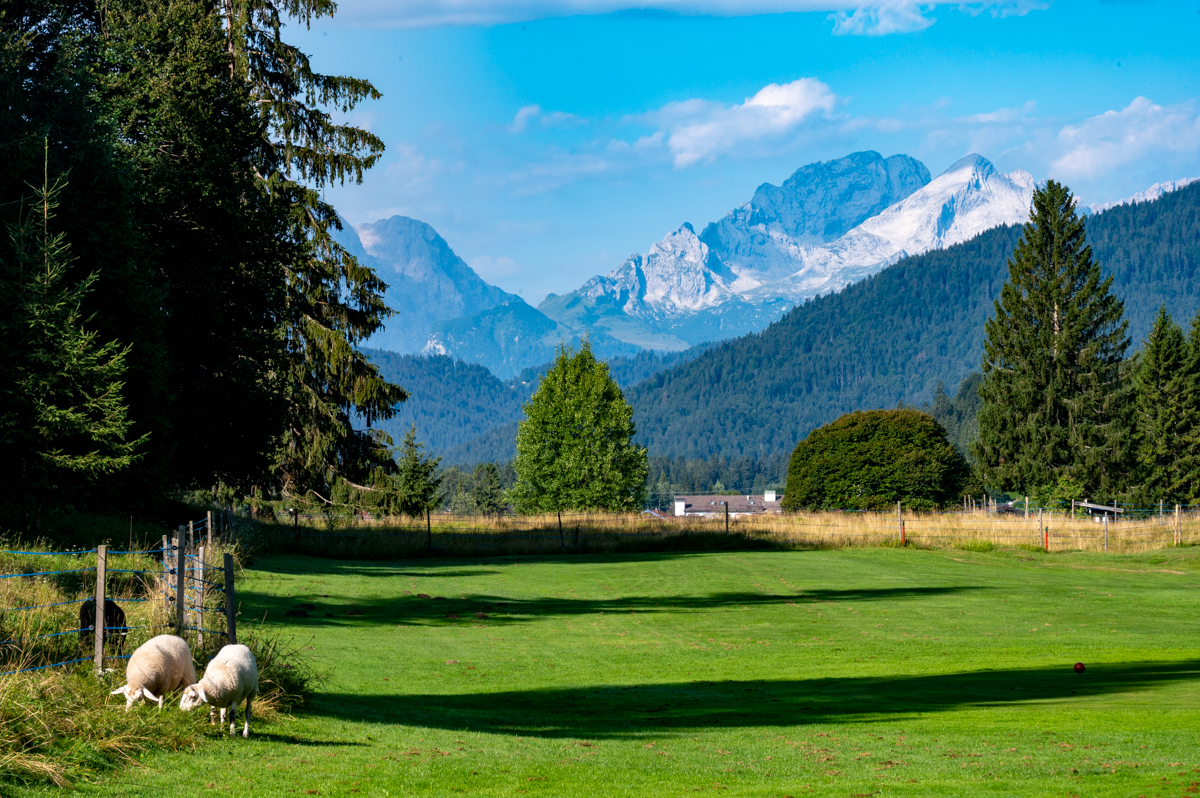 GC Karwendel Fotos MZ6 _6650