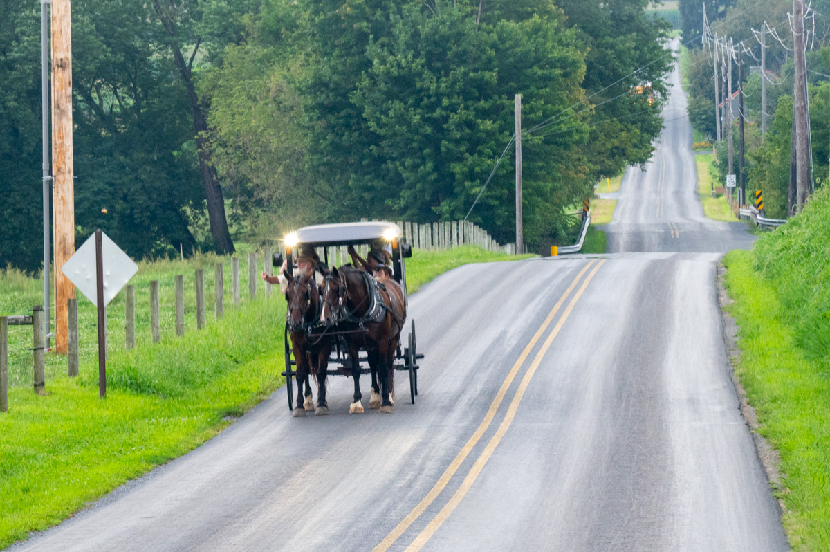 Amish Rundfahrt MZ6 _9272