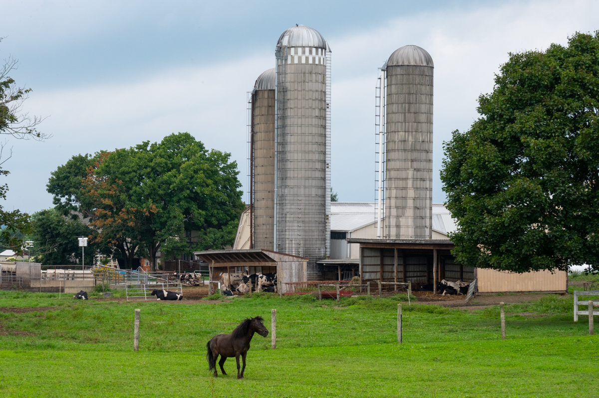Amish Rundfahrt MZ6 _9295