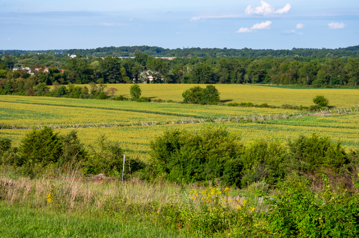 Gettysburg Battlefield Fotos MZ6 _8487