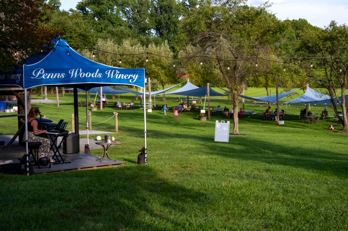 Penns Woods Winery Fotos MZ6 _9615