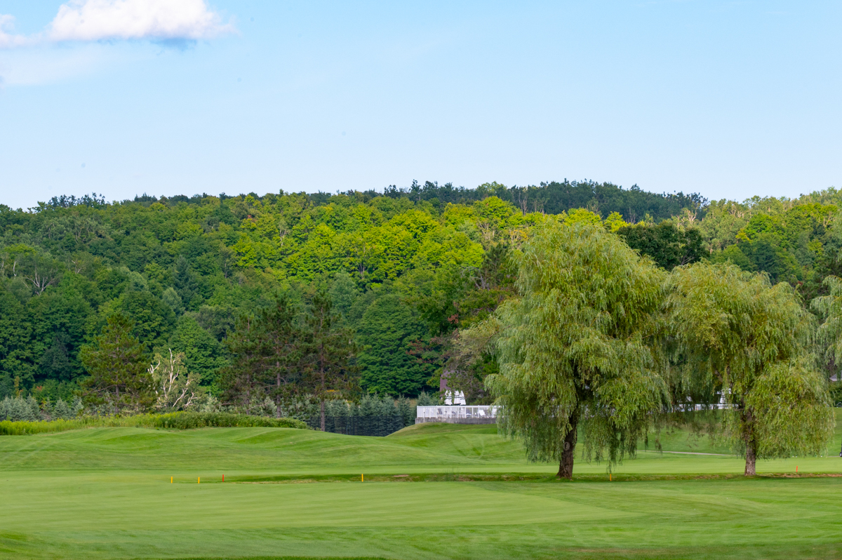 Boyne Highlands Donald Ross Bahn 10-18 MZ6 _7364