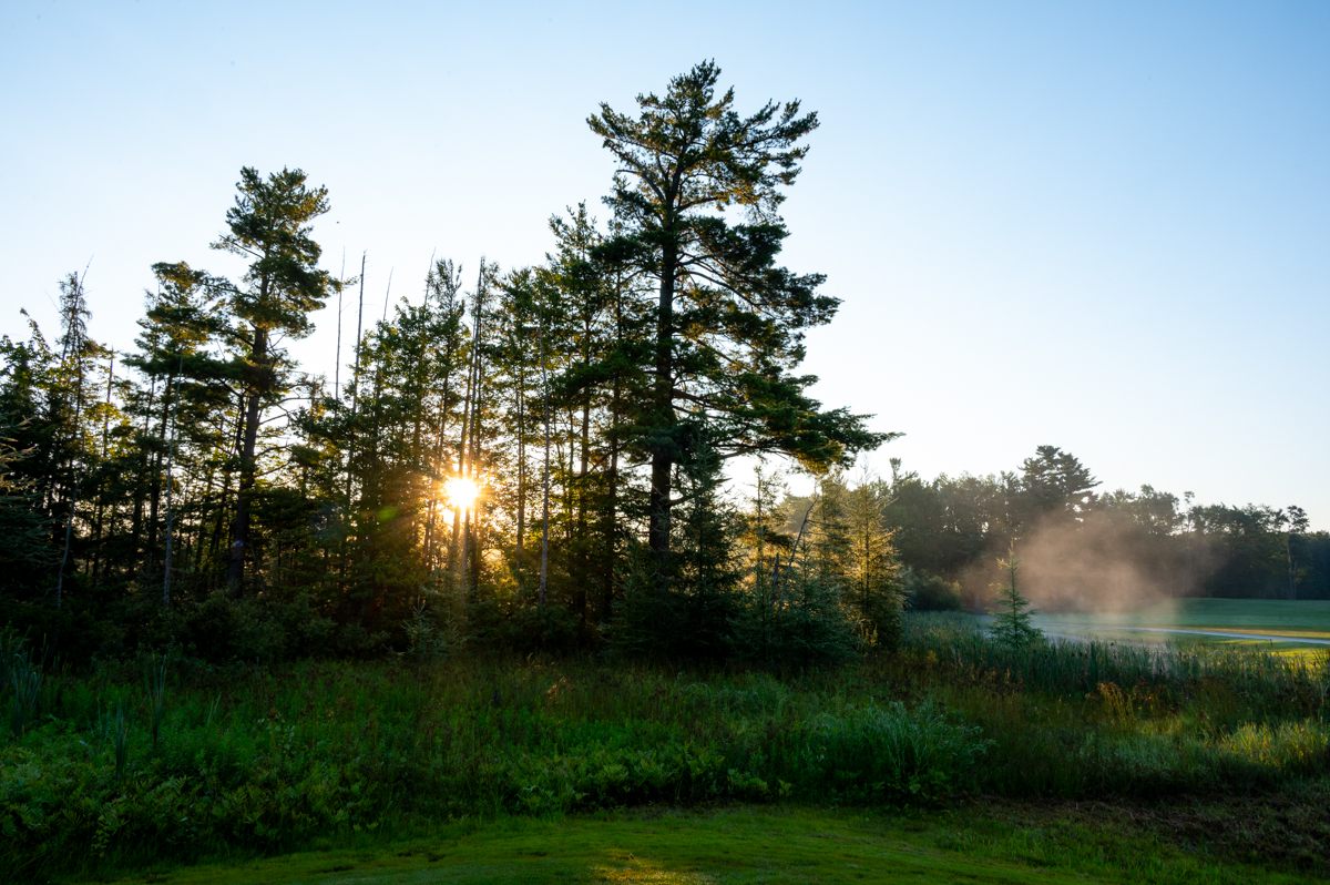 Boyne Highlands Heather Bahn 1-9 MZ6 _6772