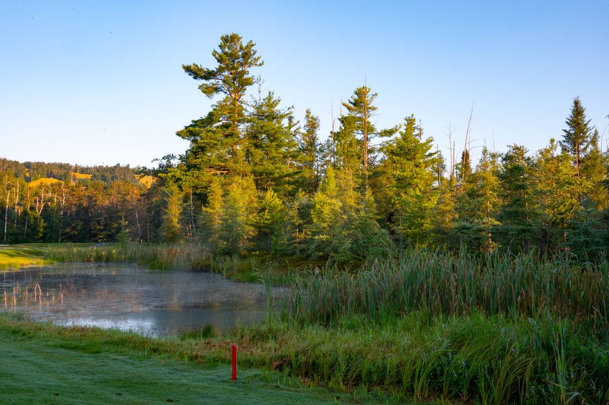 Boyne Highlands Heather Bahn 1-9 MZ6 _6775