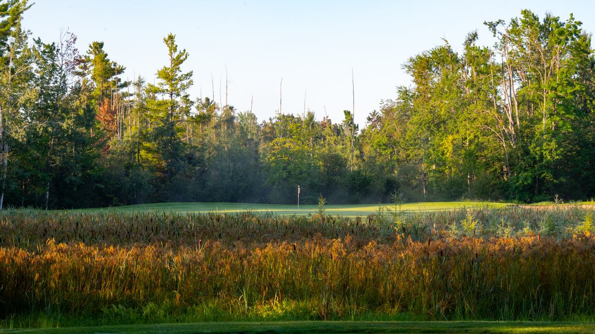 Boyne Highlands Heather Bahn 1-9 MZ6 _6806